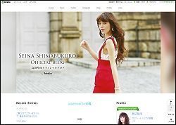 1711seinablog-250x178.jpg